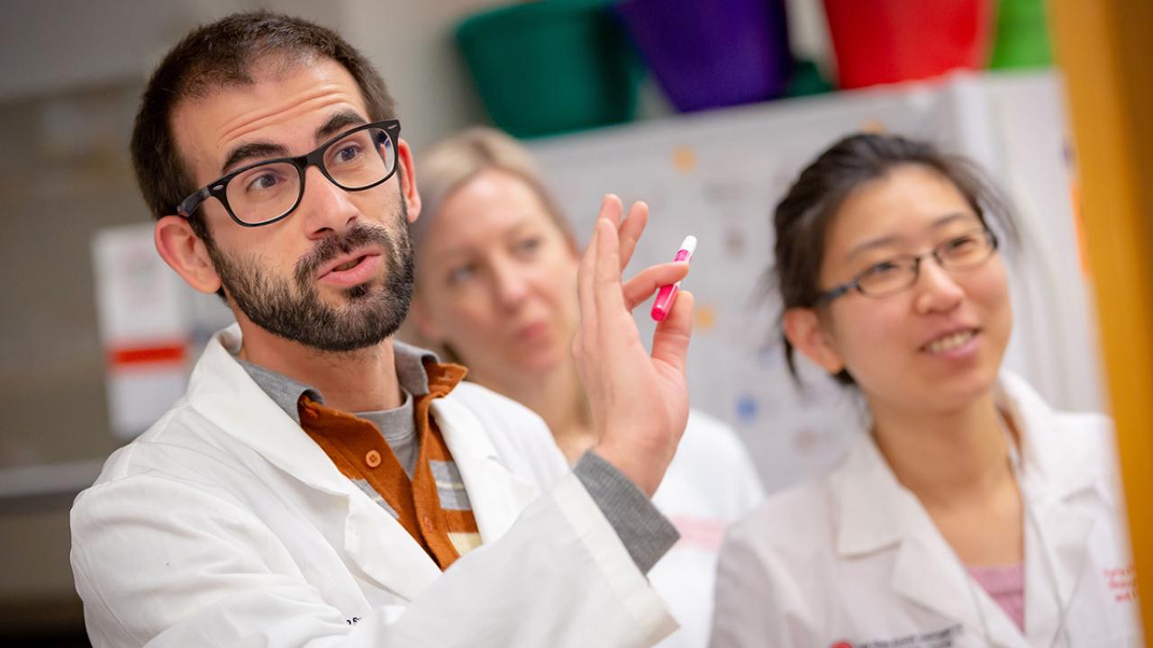 A group of students in lab coats listen to someone talking
